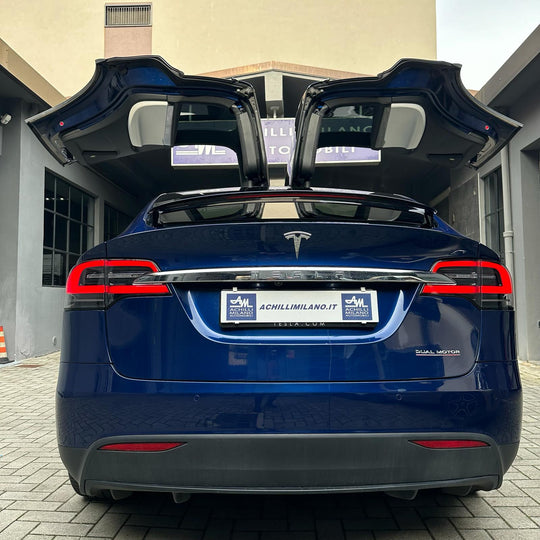 Tesla Model X Performance 2021